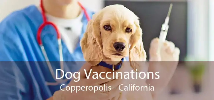 Dog Vaccinations Copperopolis - California