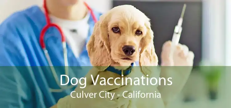 Dog Vaccinations Culver City - California