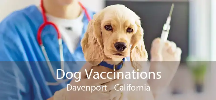 Dog Vaccinations Davenport - California