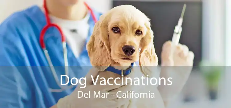 Dog Vaccinations Del Mar - California