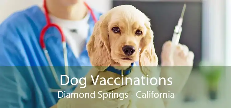 Dog Vaccinations Diamond Springs - California