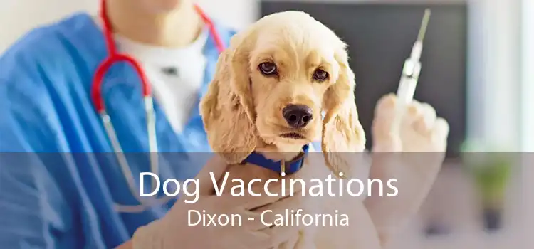 Dog Vaccinations Dixon - California