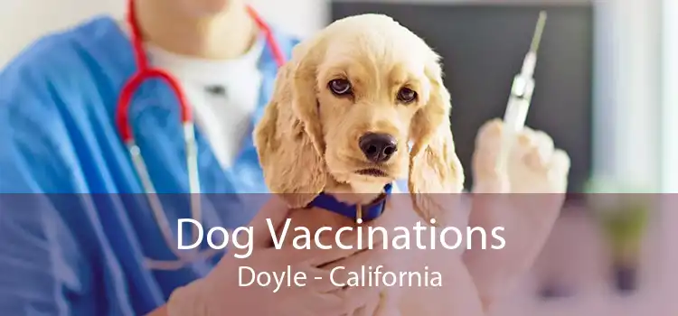 Dog Vaccinations Doyle - California