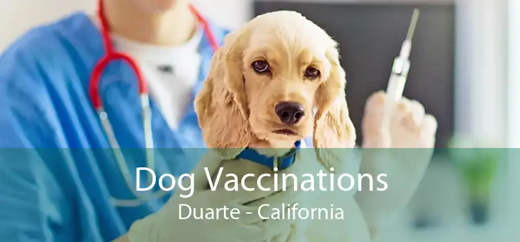 Dog Vaccinations Duarte - California