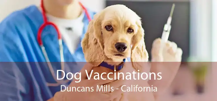 Dog Vaccinations Duncans Mills - California