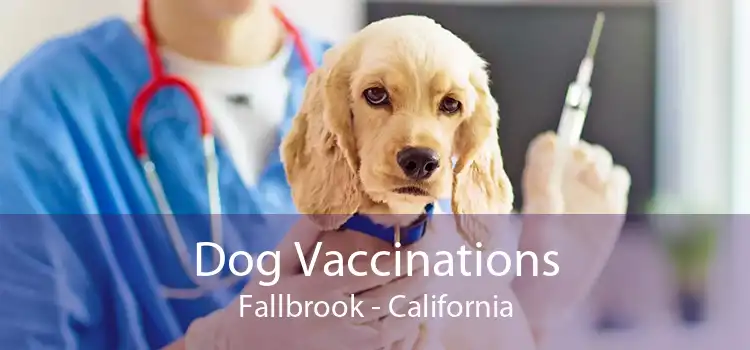 Dog Vaccinations Fallbrook - California