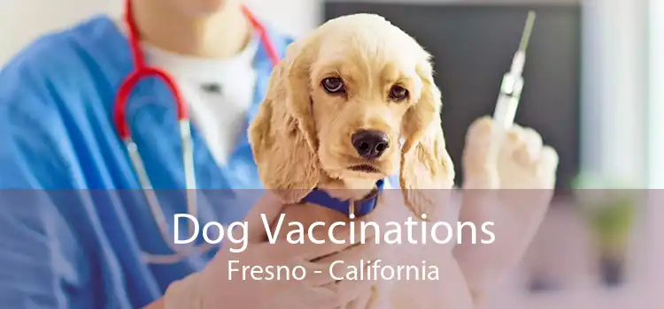 Dog Vaccinations Fresno - California