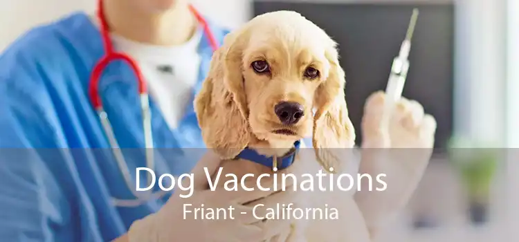 Dog Vaccinations Friant - California