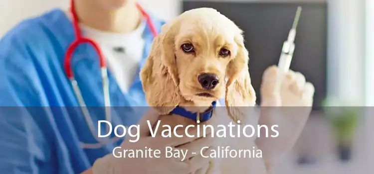 Dog Vaccinations Granite Bay - California