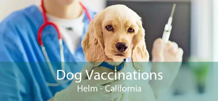 Dog Vaccinations Helm - California