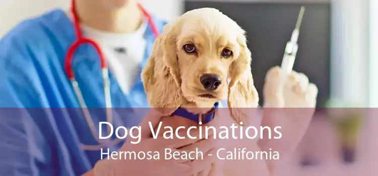 Dog Vaccinations Hermosa Beach - California