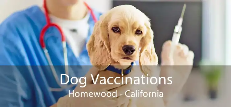 Dog Vaccinations Homewood - California