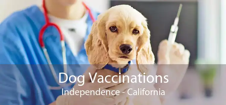 Dog Vaccinations Independence - California