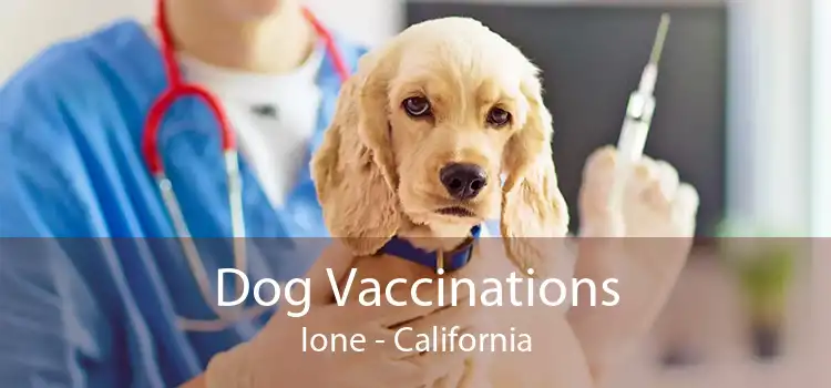 Dog Vaccinations Ione - California