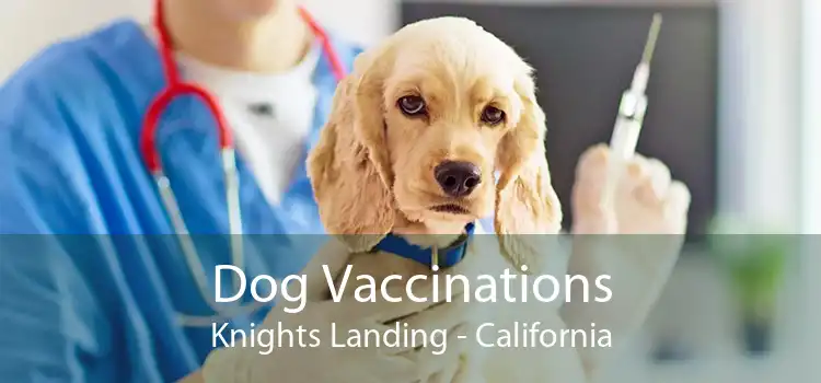 Dog Vaccinations Knights Landing - California