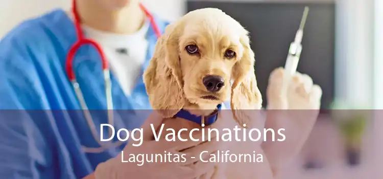 Dog Vaccinations Lagunitas - California