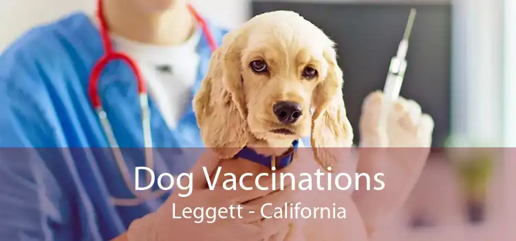 Dog Vaccinations Leggett - California