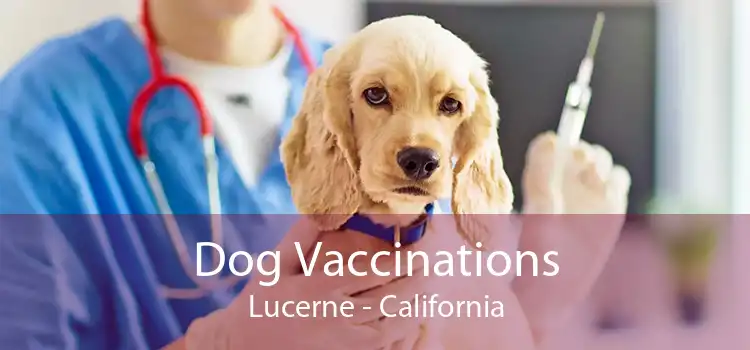 Dog Vaccinations Lucerne - California