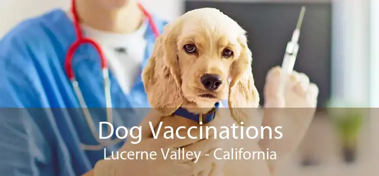 Dog Vaccinations Lucerne Valley - California