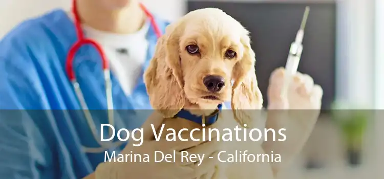 Dog Vaccinations Marina Del Rey - California