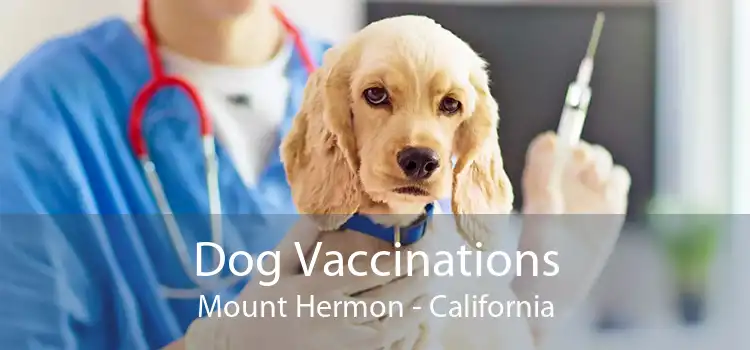 Dog Vaccinations Mount Hermon - California