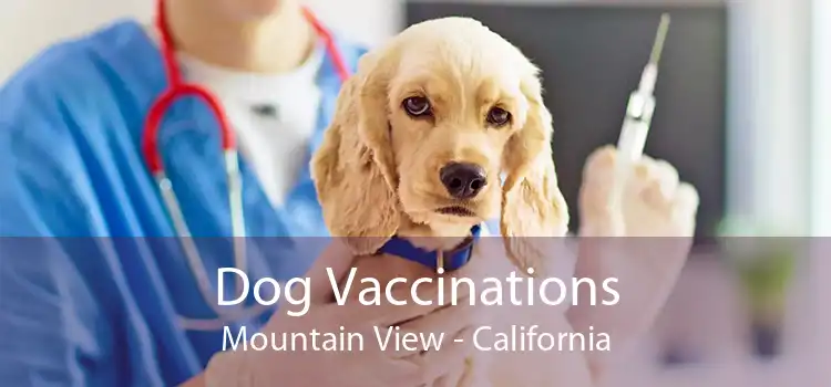 Dog Vaccinations Mountain View - California