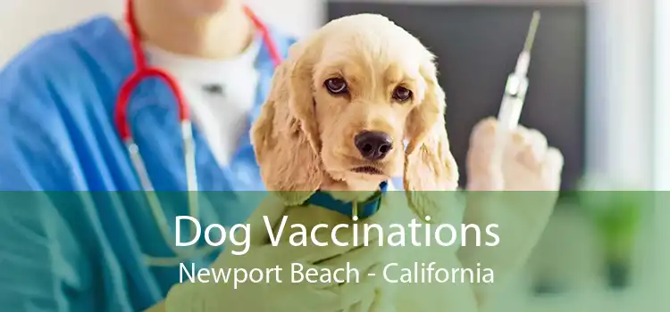 Dog Vaccinations Newport Beach - California