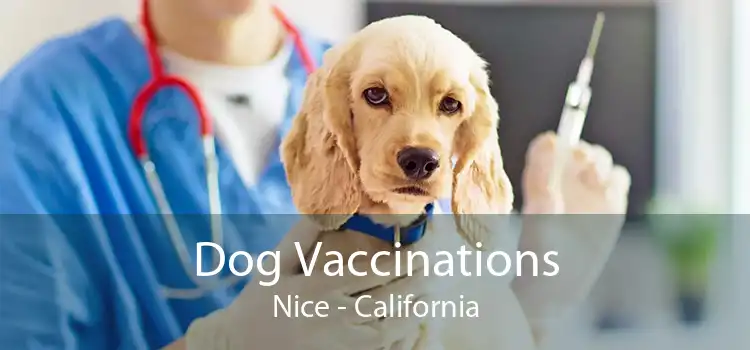 Dog Vaccinations Nice - California