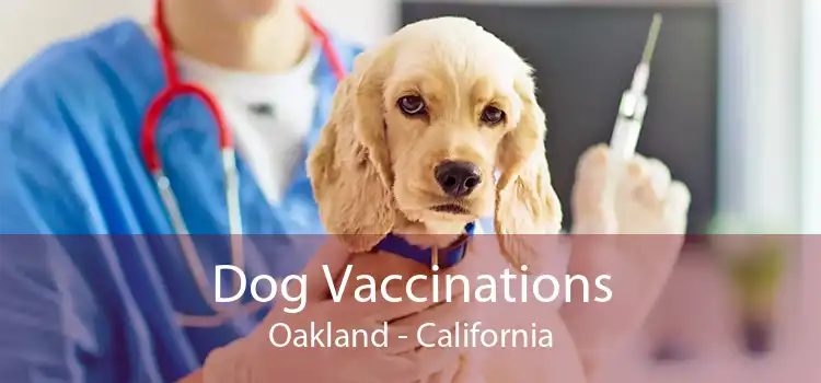 Dog Vaccinations Oakland - California