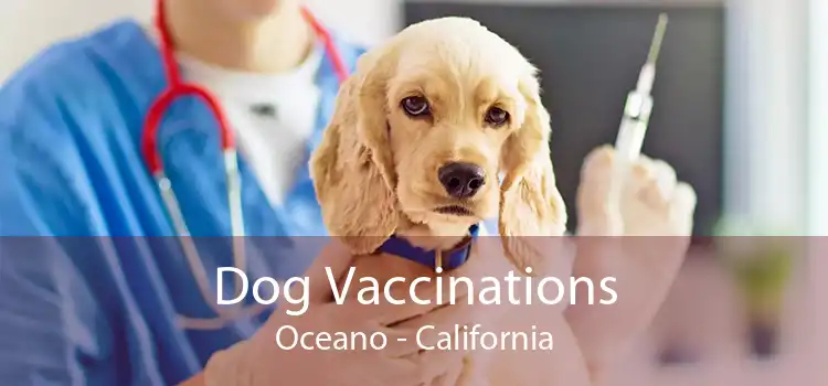 Dog Vaccinations Oceano - California