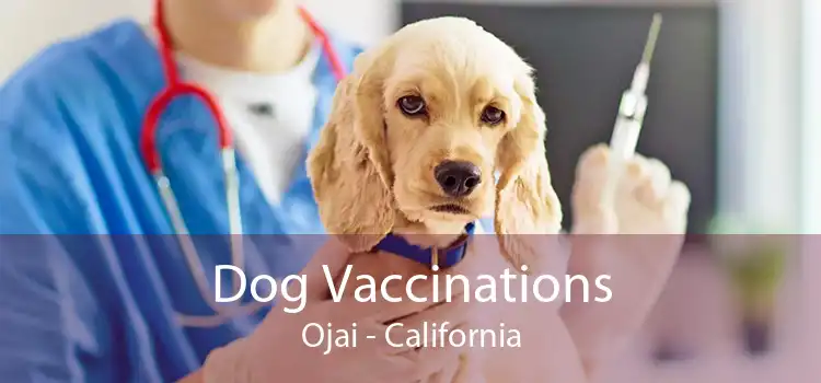 Dog Vaccinations Ojai - California