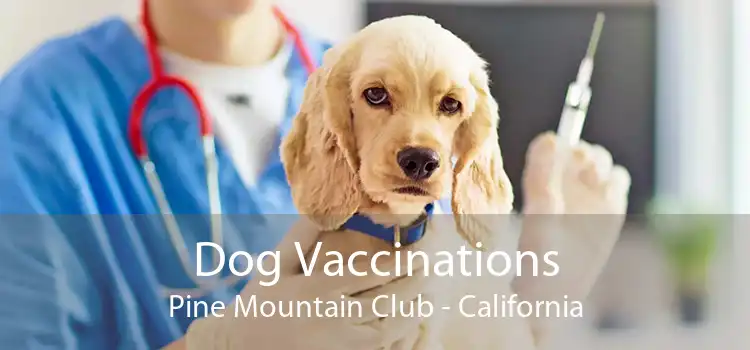 Dog Vaccinations Pine Mountain Club - California