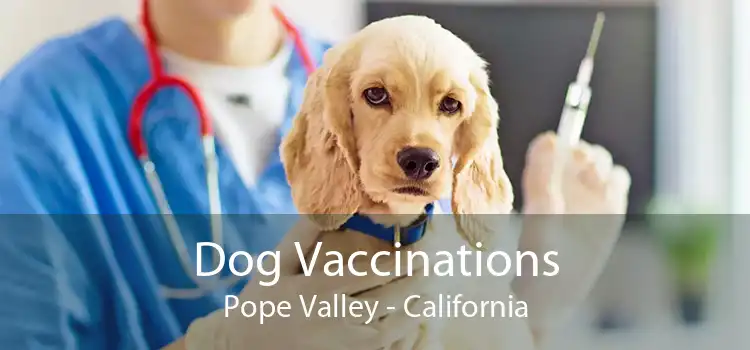 Dog Vaccinations Pope Valley - California