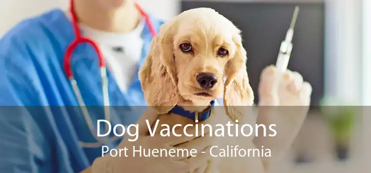 Dog Vaccinations Port Hueneme - California