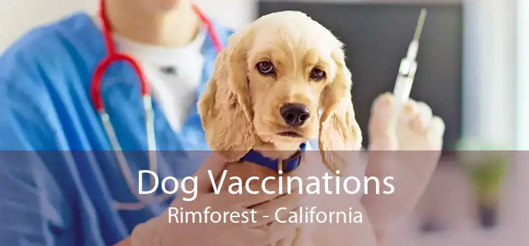 Dog Vaccinations Rimforest - California