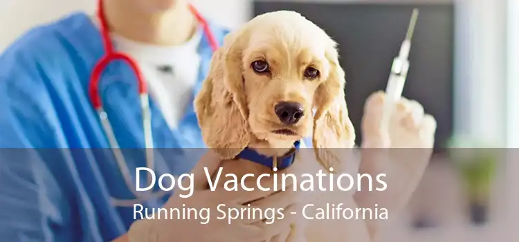 Dog Vaccinations Running Springs - California