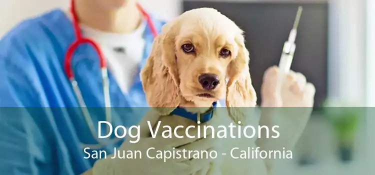 Dog Vaccinations San Juan Capistrano - California