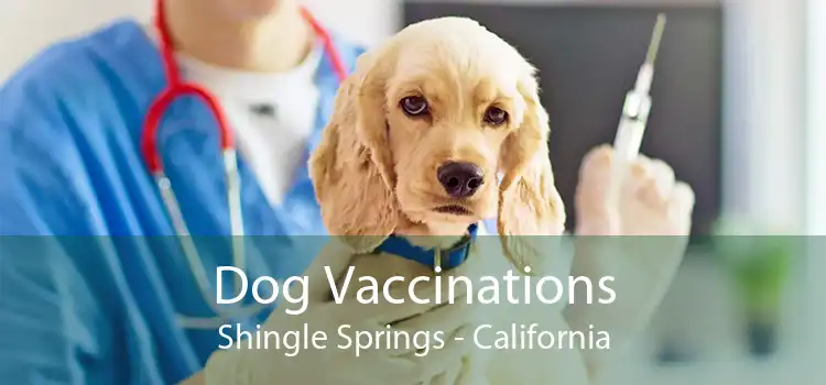 Dog Vaccinations Shingle Springs - California