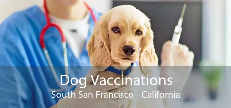 Dog Vaccinations South San Francisco - California