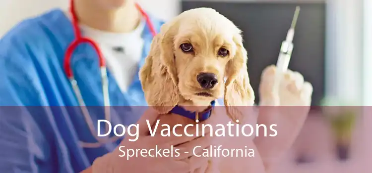 Dog Vaccinations Spreckels - California