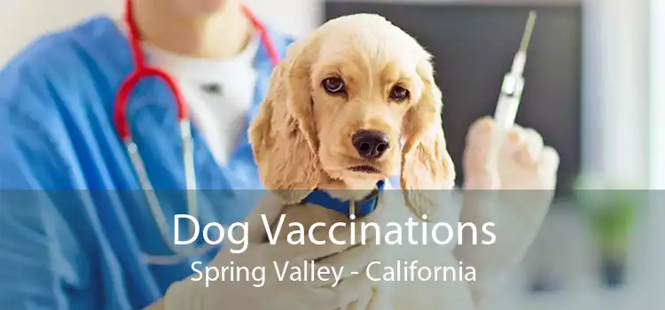 Dog Vaccinations Spring Valley - California