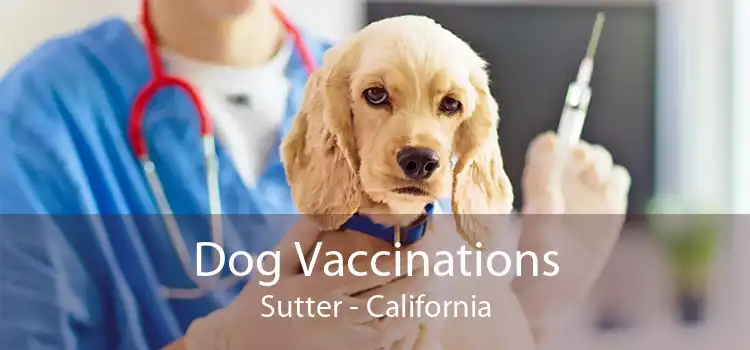 Dog Vaccinations Sutter - California