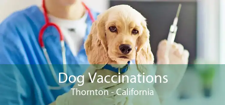 Dog Vaccinations Thornton - California