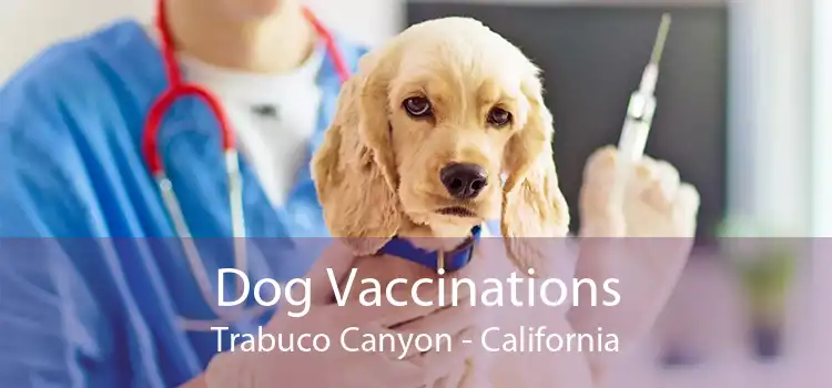 Dog Vaccinations Trabuco Canyon - California