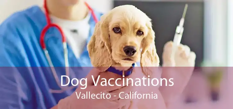 Dog Vaccinations Vallecito - California