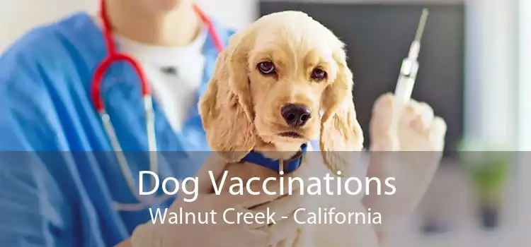 Dog Vaccinations Walnut Creek - California