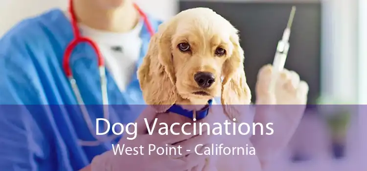 Dog Vaccinations West Point - California