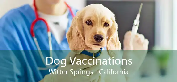 Dog Vaccinations Witter Springs - California