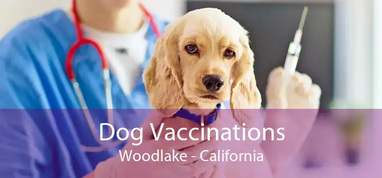 Dog Vaccinations Woodlake - California