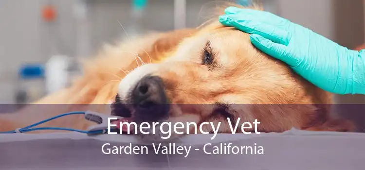 Emergency Vet Garden Valley - California